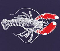 Baseball Lobster Sox shirt