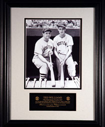 Ted Williams Classic Moments series